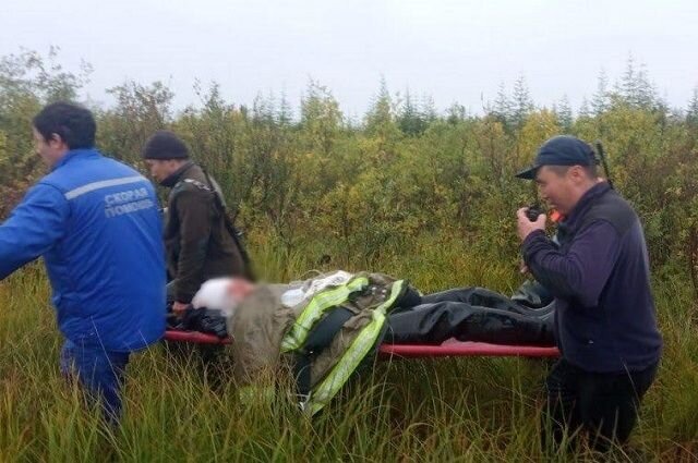  По статистике, за последние 10 лет количество бурых медведей в Сибири возросло почти в два раза. © / Пресс-служба МЧС Якутии