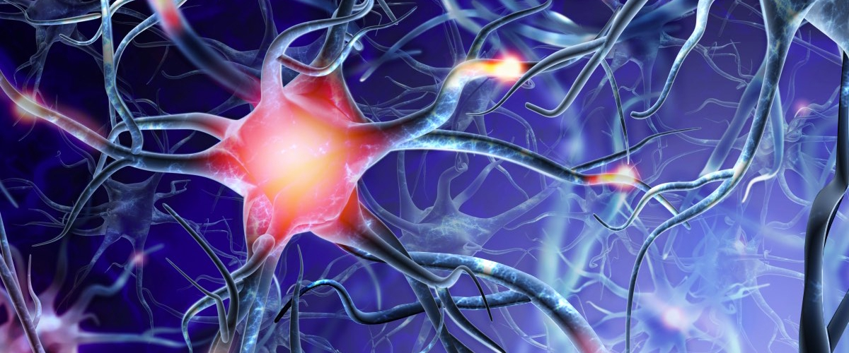 картинка взята из интернет источника