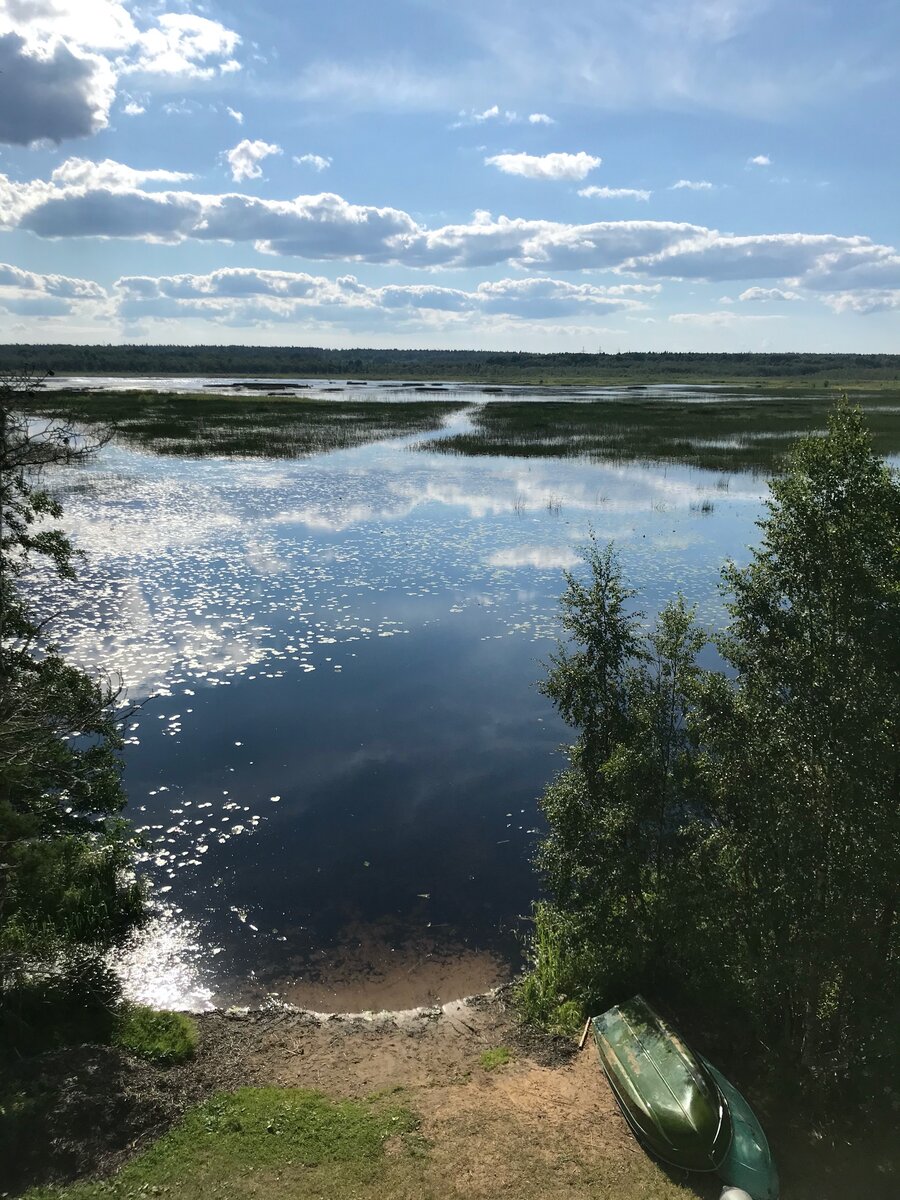 Вид на озеро Охотничье с орнитологической вышки