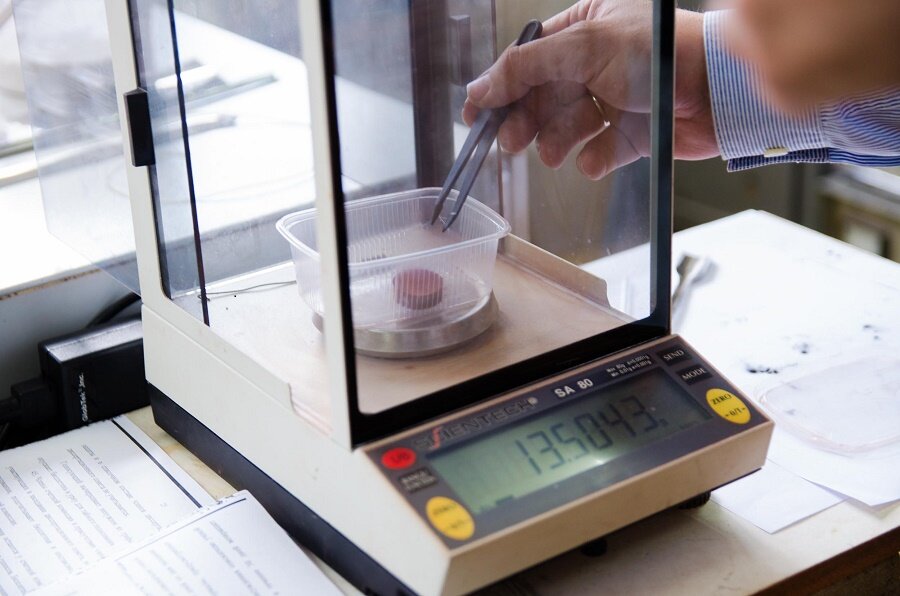 Фото: susu.ru / Данил Рахимов