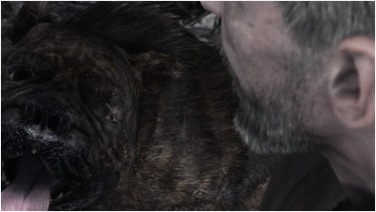 Симпотяга прям как я :)