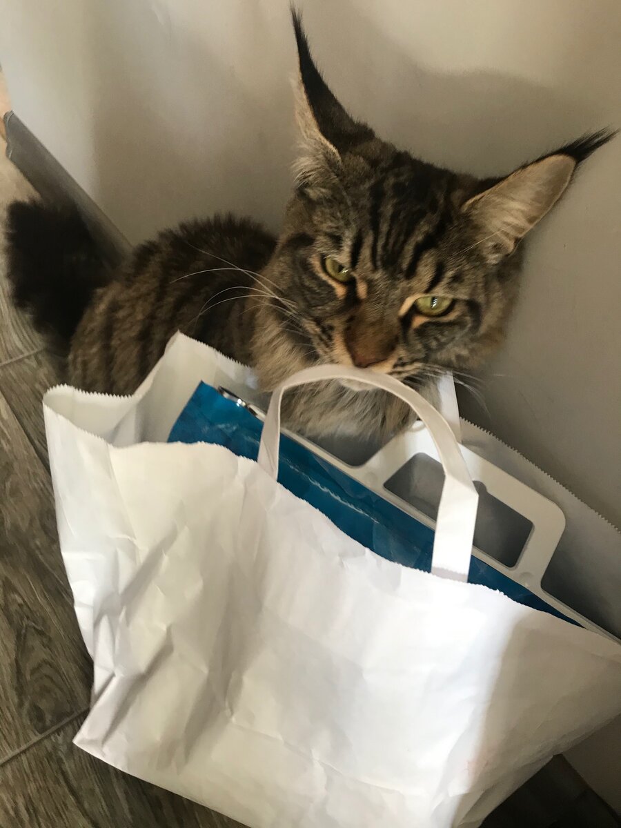 По имени Мая