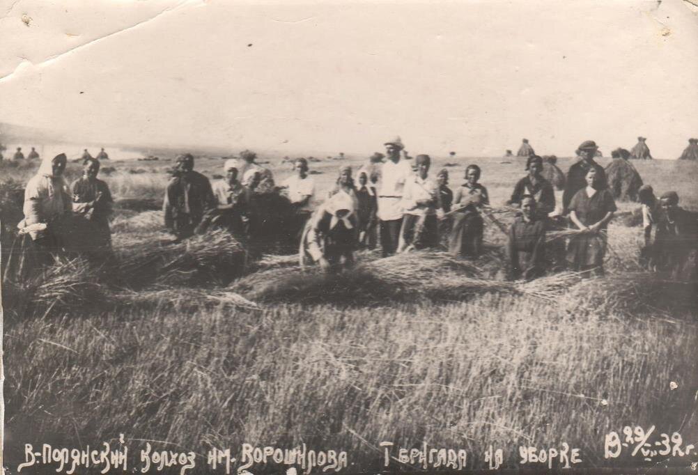 Спк колхоз имени ворошилова. Работники сельского хозяйства в поле фото черно белые 1962. Колхоз ворошилова безопасное. Курилка тракториста. Первые советские трактора фото.