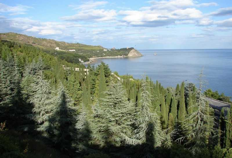 Фото: rosleshoz.gov.ru