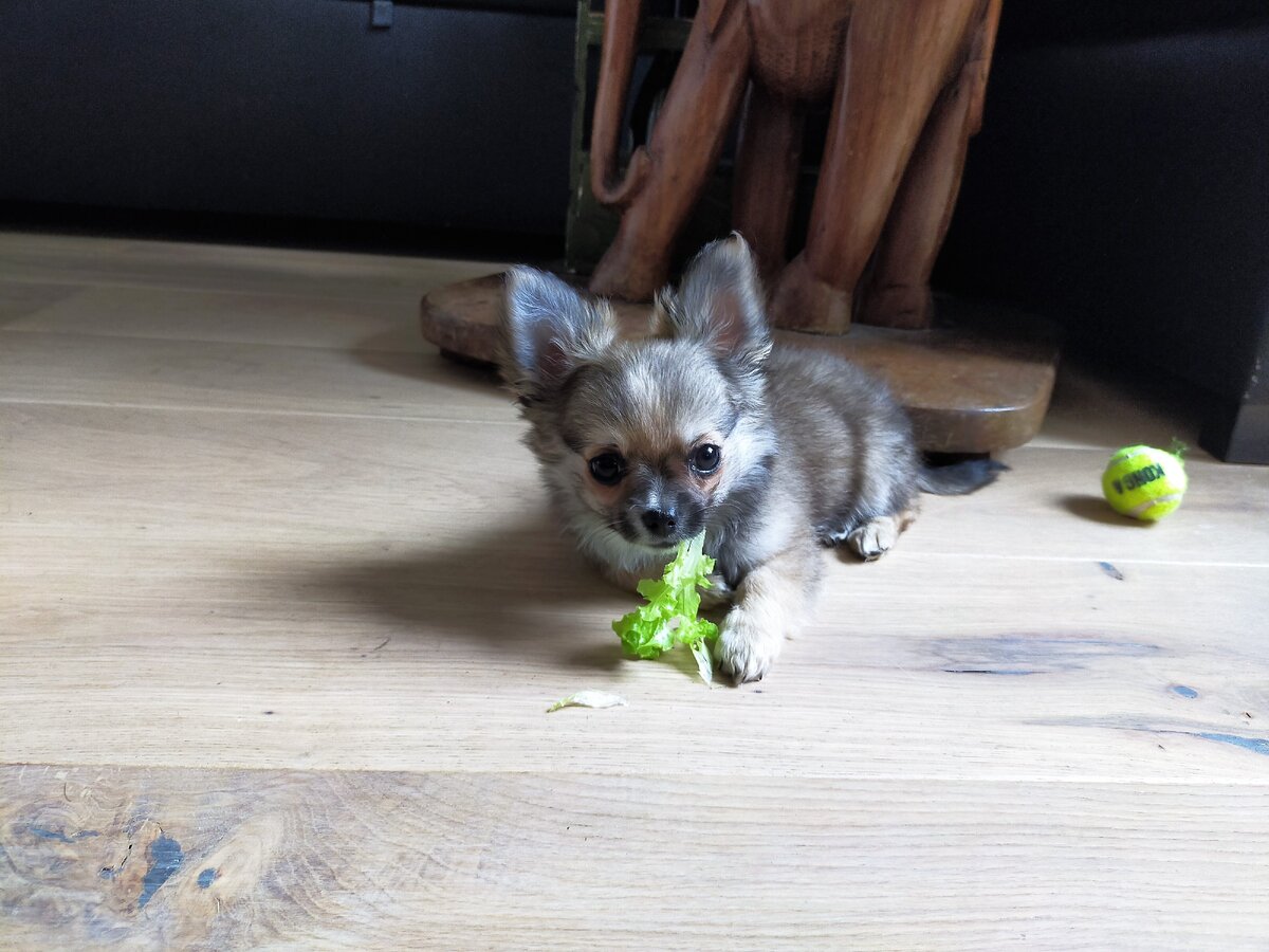 Долгожданные полезные витамины !!!(Люсе Маруовне 3 месяца)