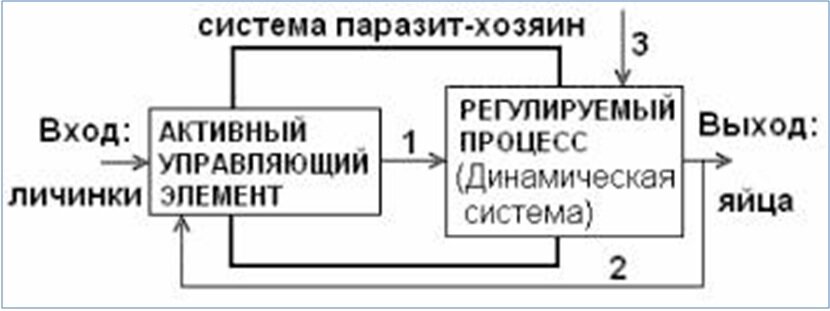 Система хозяина. Паразитарная система схема. Система паразит хозяин. Взаимодействие в системе паразит-хозяин хозяин-паразит. Виды паразитарных систем.