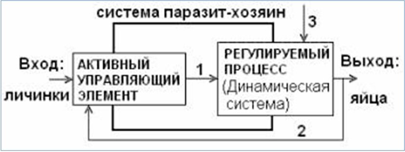 система хозяин