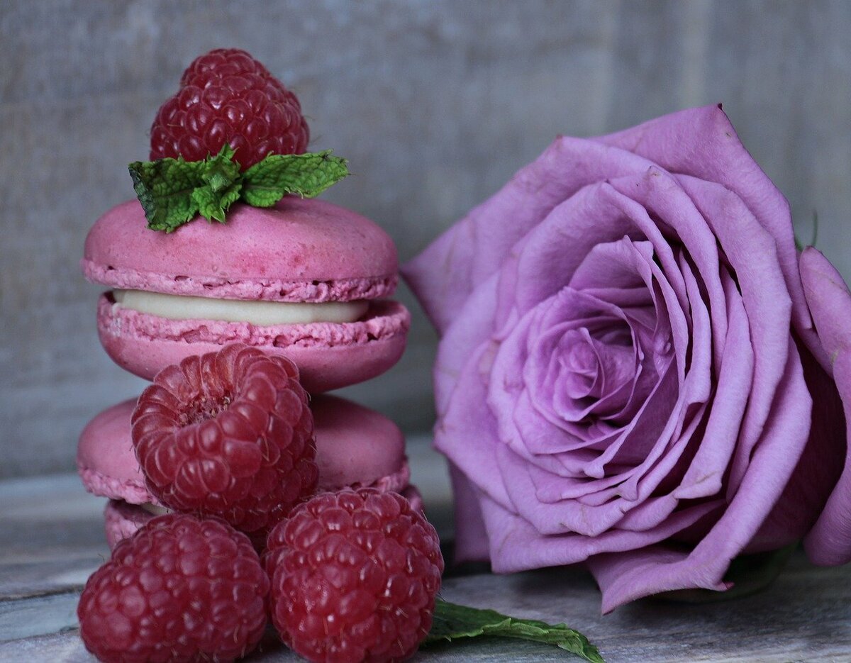 https://pixabay.com/ru/photos/macarons-малина-мята-роуз-2548779/