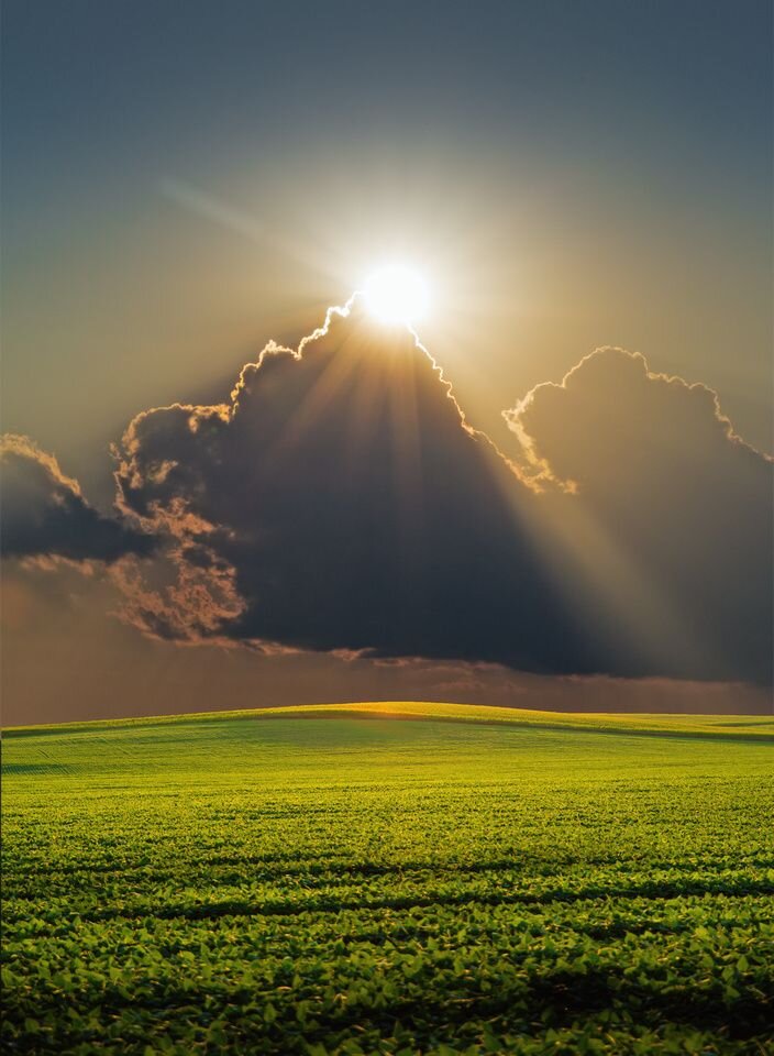 Среди солнечных лучей. Свет солнца. Яркое солнце. Лучи солнца. Среди солнечных лучей.