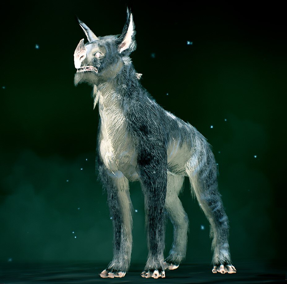 Кубрау. моя красотка оочень высокая, с уникальным тигровым окрасом