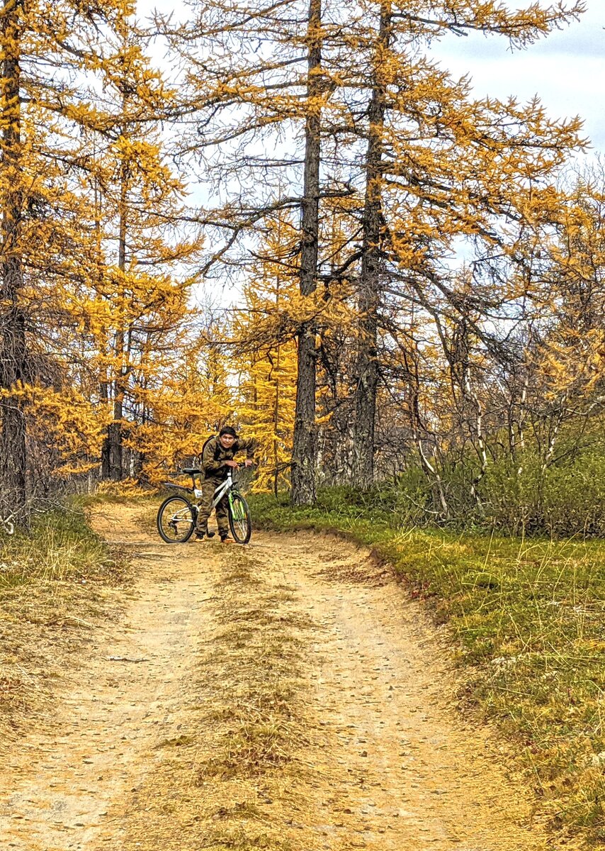Осенний лес