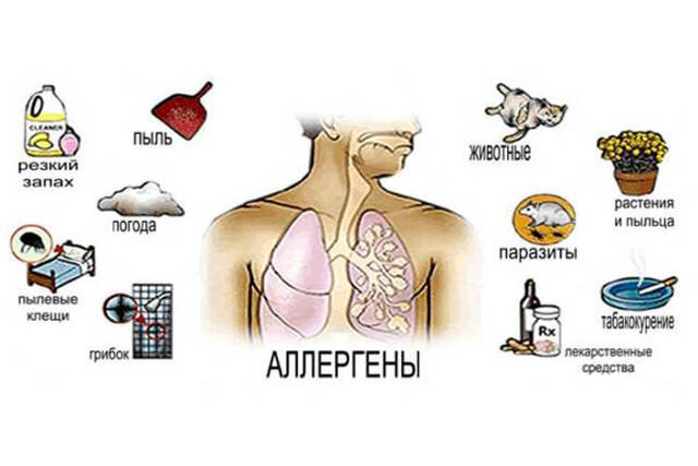 Аллергический ринит у ребенка. Причины