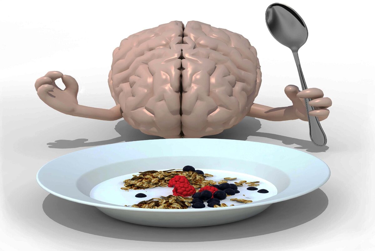 Мозг на двоих. Мистер сиа 2 мозга. Еда которую держит скелет. 2х2=? Думать мозг,. Мозг и еда дэвида