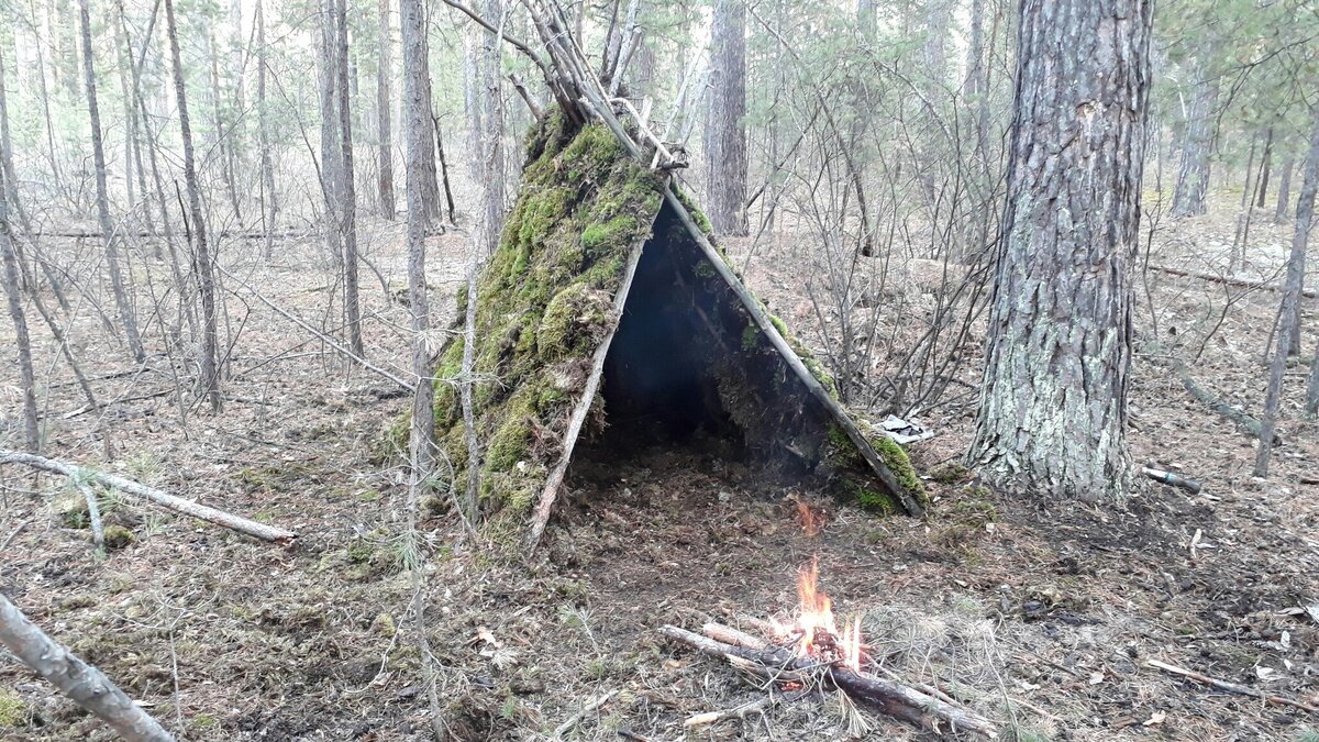 Мой шалаш