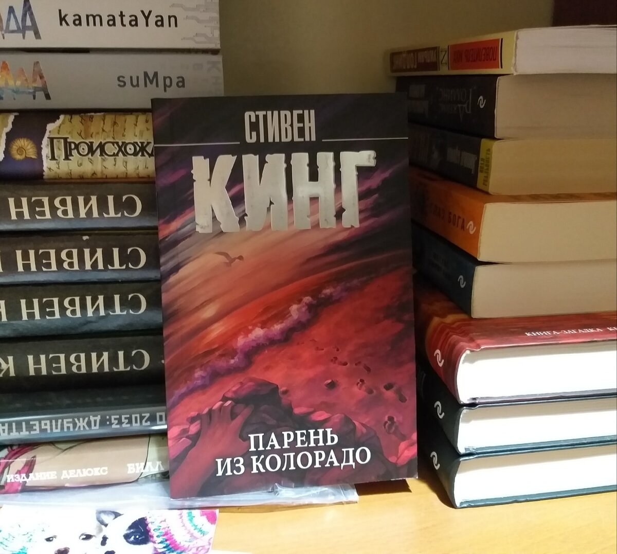 стивен кинг издание книжная полка