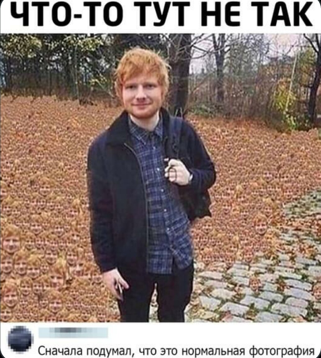 Большой эд тлс. Ed sheeran мемы. Биг эд. Эд ширан мем. Большой эд в молодости.