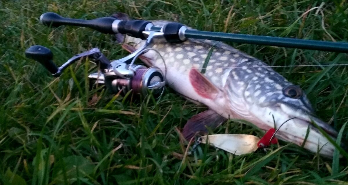 Легендарный "Атом"