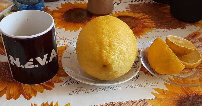 Вот, он, донор!