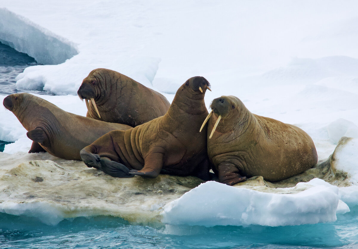 Фото: Леонид Круглов