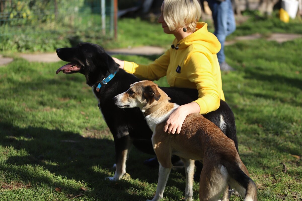 Банда Дворян. Джемма