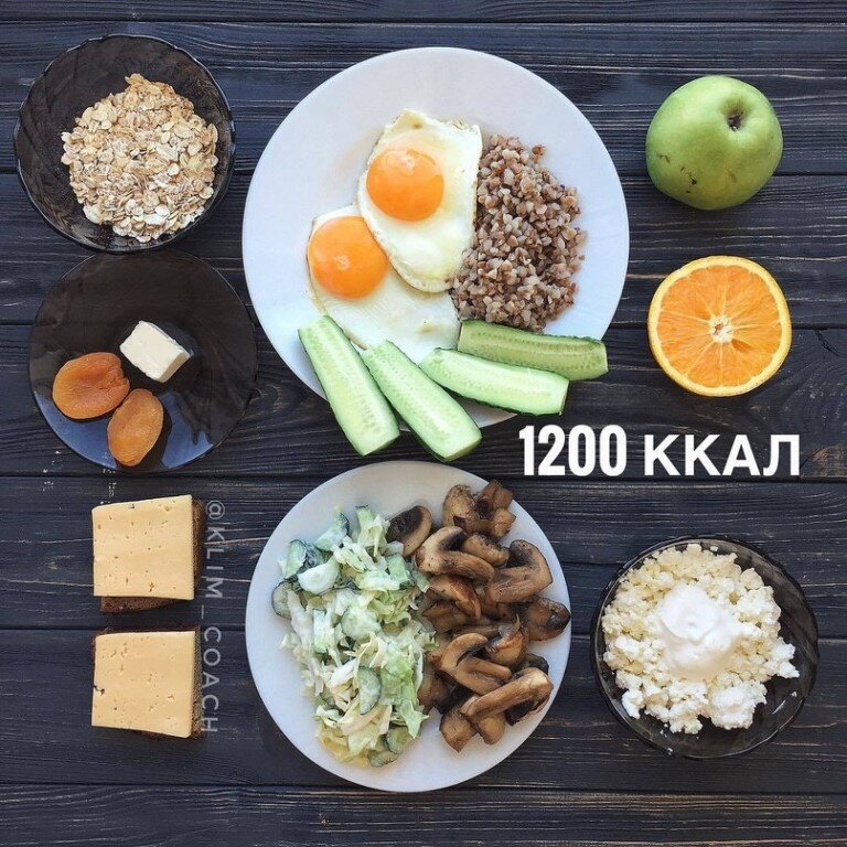 ОБЩИЙ ВЫВОД НА 1200 КБЖУ : 1199/89/52/92