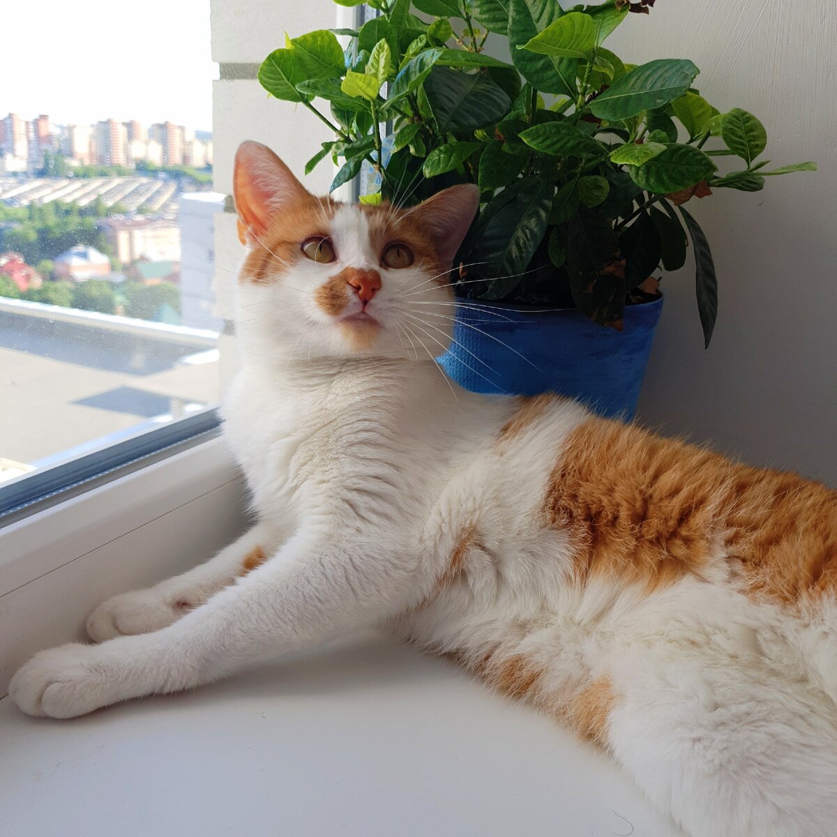 Цель обнаружена. Уничтожить!