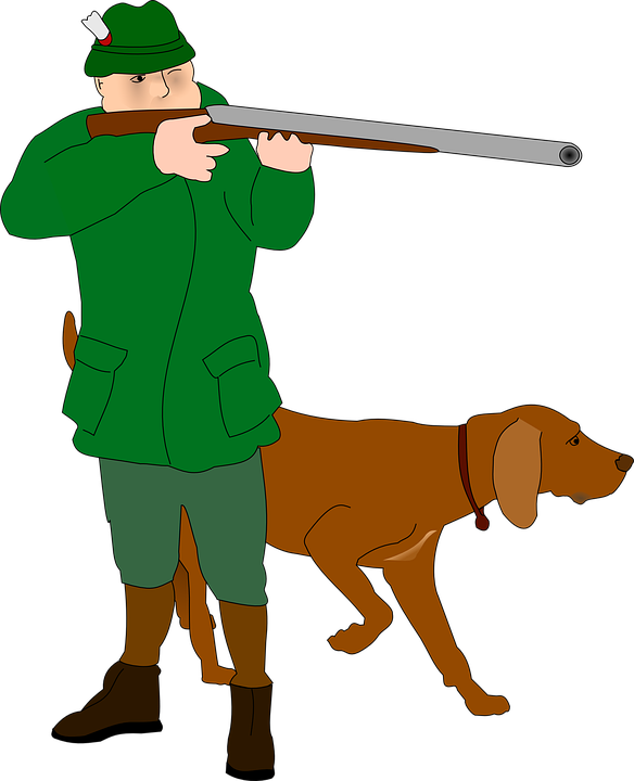 Воспитываем охотничью собаку Русская Гончая