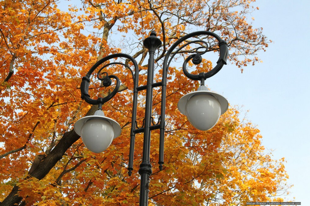 Фото: Михаил Брацило / Москультура