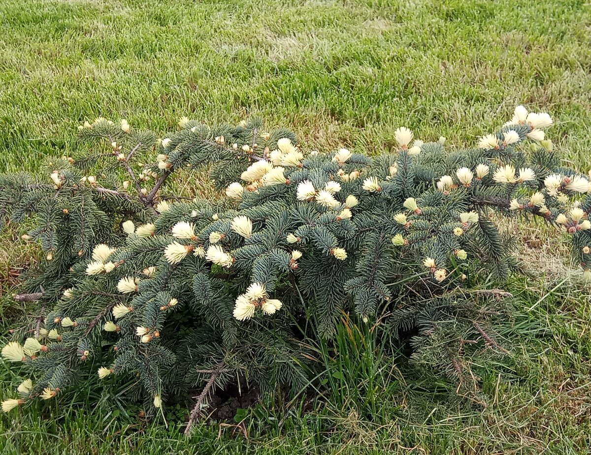 Привет из лета. Фото автора. 