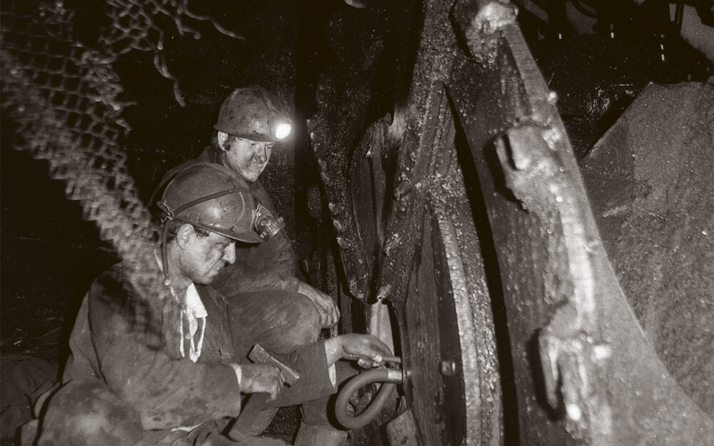 Фото: Александр Наумов. Снимок не имеет прямого отношения к истории, а лишь косвенно иллюстрирует публикацию.