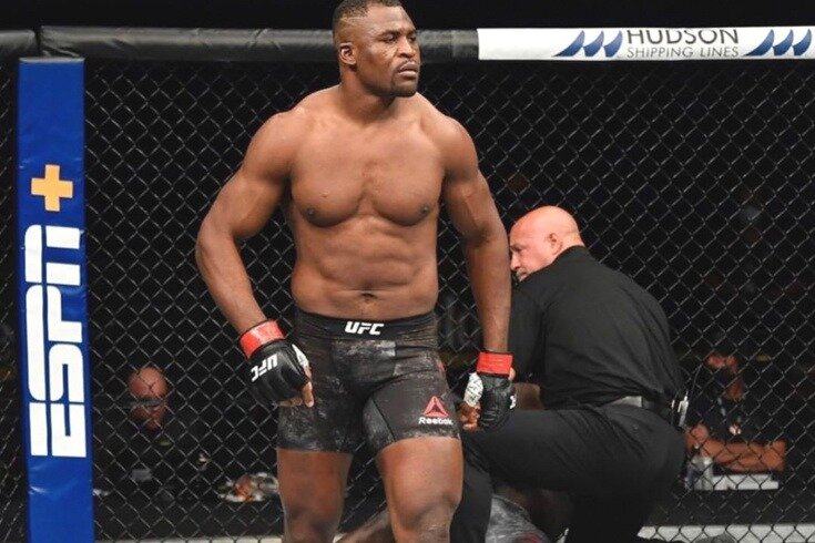 Франсис Нганну - рекордсмен по силе удара