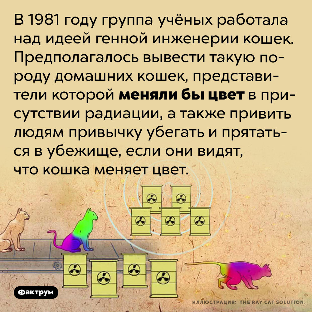 Подборка интересных фактов № 455 | Фактрум | Дзен