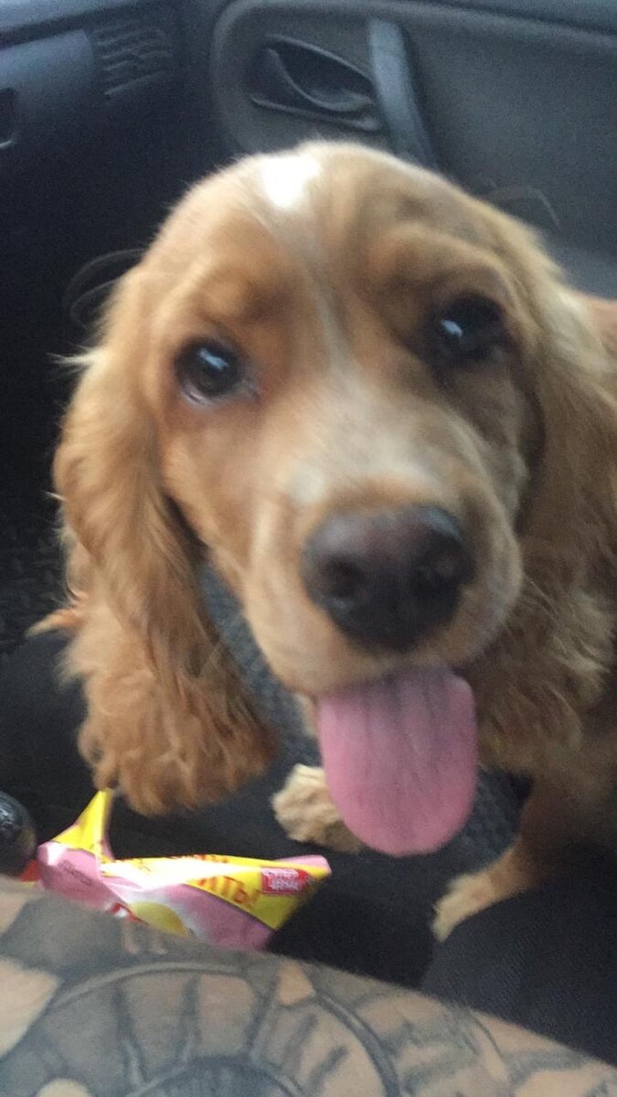 Ставьте палец вверх и подписывайтесь на мой канал