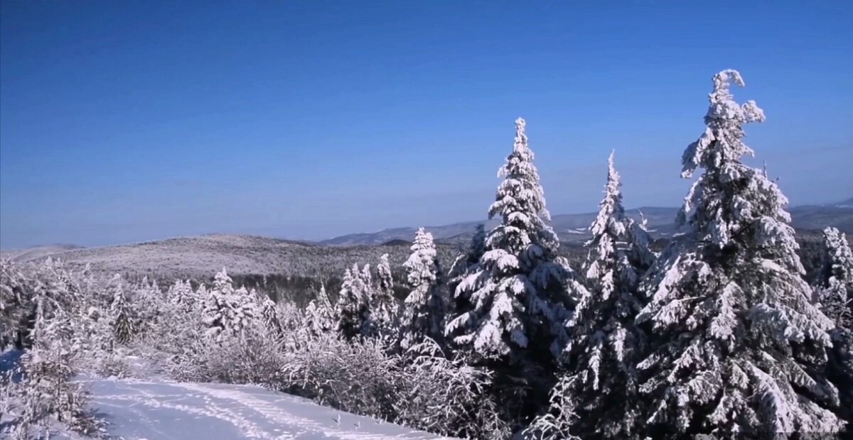 Зима. Рождество.