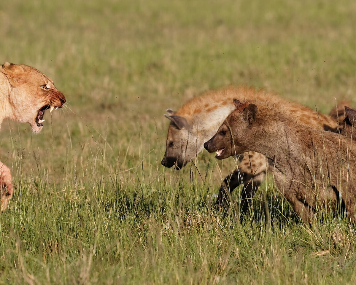 Общение! Бывает и такое...