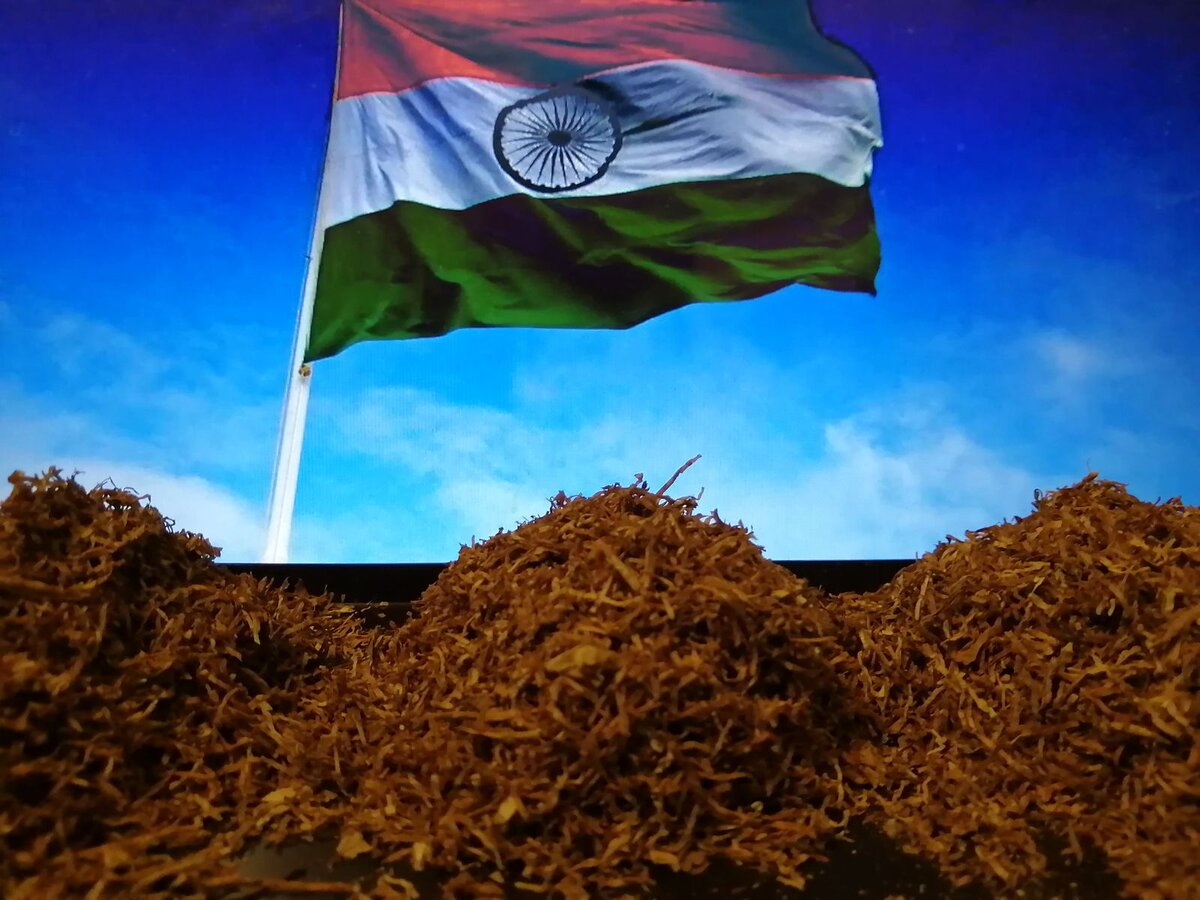 Три табачных снопа на фоне флага Республики Индия. Фото автора