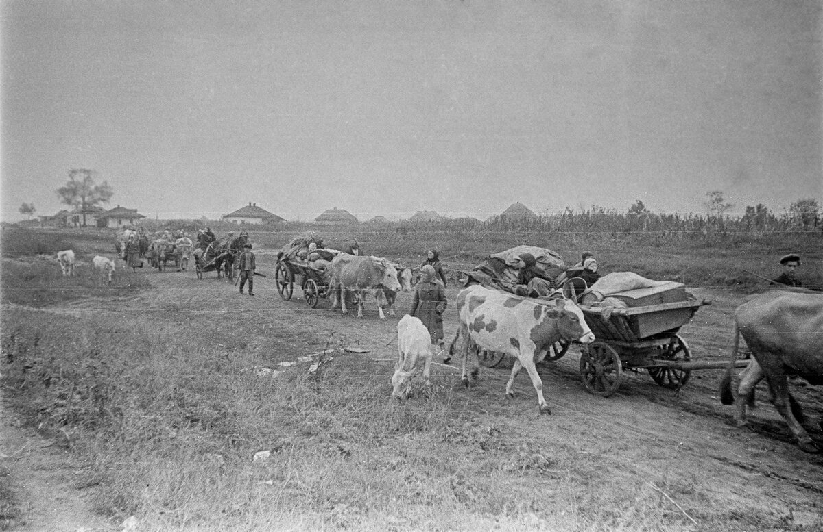 Яндекс картинки.                                               