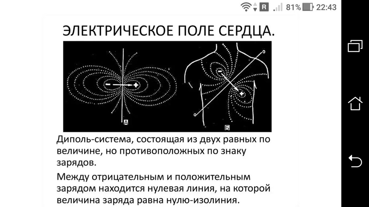 фото Сердечные каналы - открытие электромагнитных сердечных полей в 4D