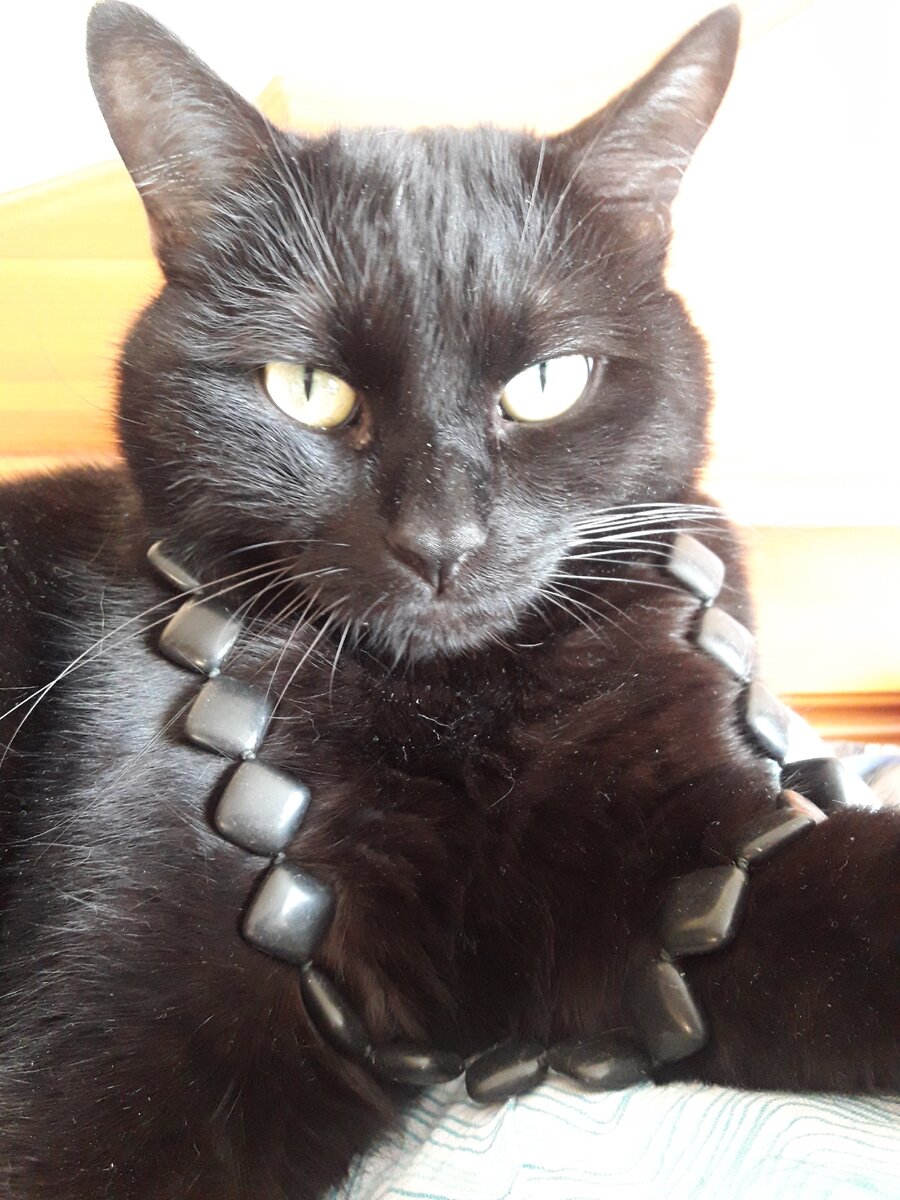 Фото автора (На Максе бусы из обсидиана)