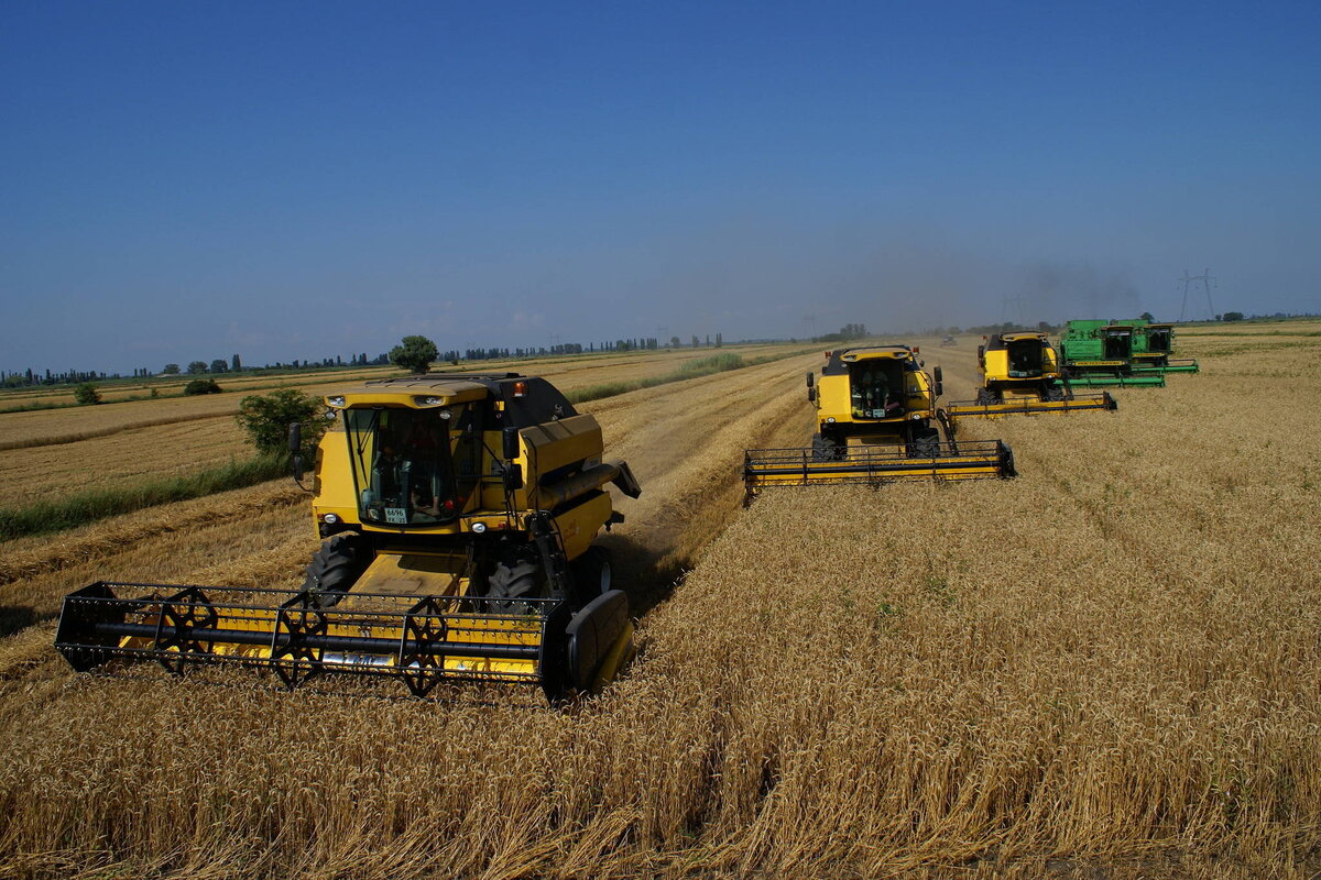 фото с сайта администрации Краснодарского края. фото https://admkrai.krasnodar.ru/