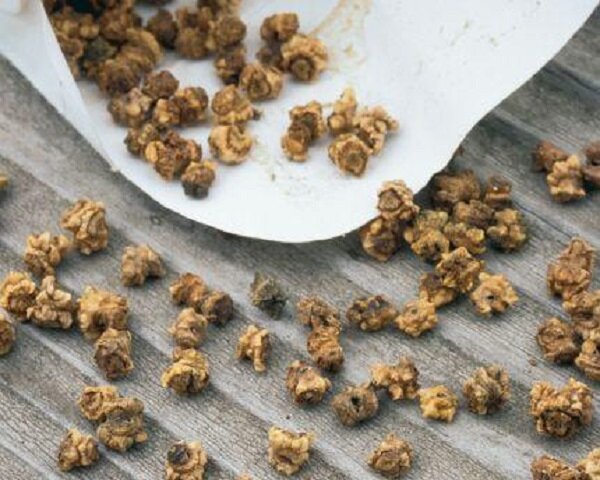 Семена свеклы. Картинка взята из сайта Яндекс Картинки. Ссылка: https://clck.ru/Tgvcb