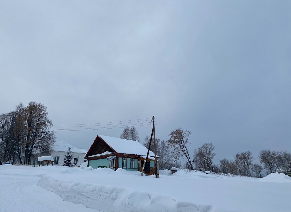 Село Полковниково - родина космонавта Германа Титова: место, где живут  патриоты | Соло - путешествия | Дзен