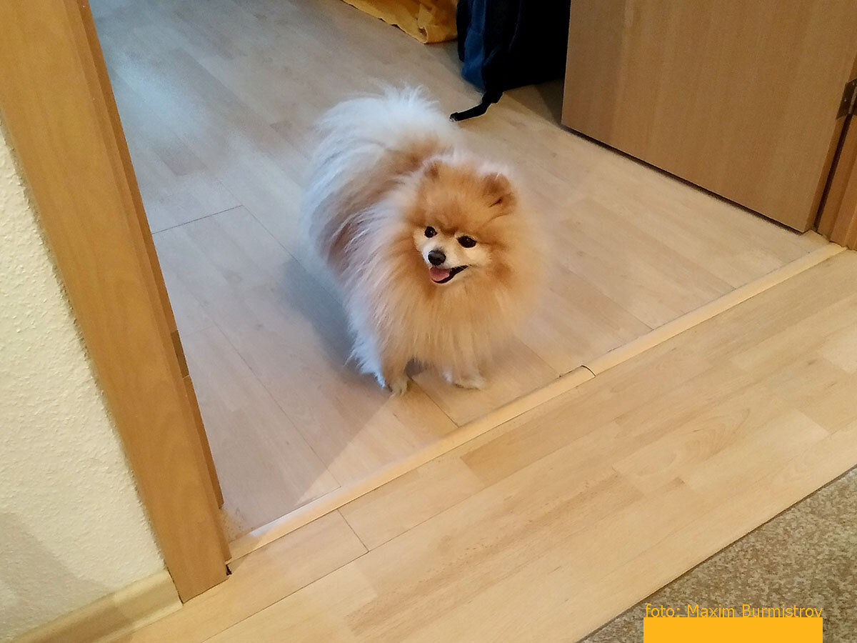 Арнольд адаптировался гораздо быстрее, освоив новые пространства.