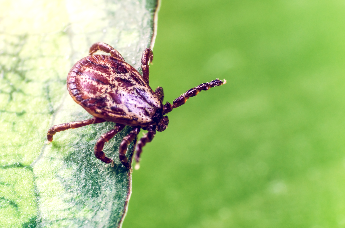 Фото: depositphotos