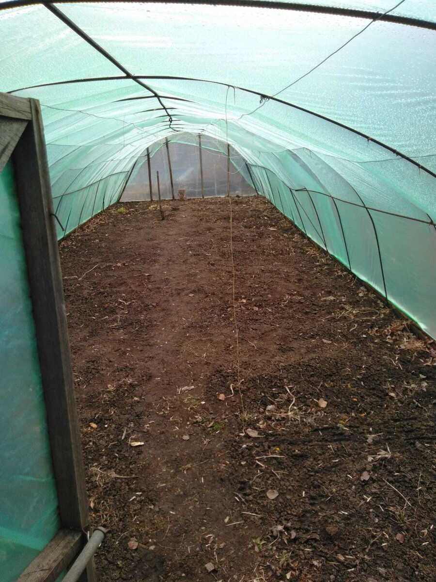 Выбирать какая теплица лучше с поликарбонатным покрытием или с пленкой мне не приходиться, так как нашим запросам и задачам соответствует именно пленка.