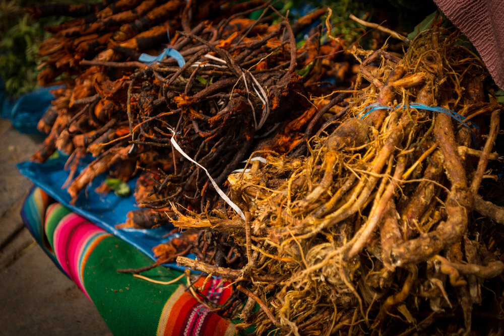 Корневище растения. Корень женьшеня. Подержать корень. Как выглядят корни альстромерии. Корни подпорки кукурузы.