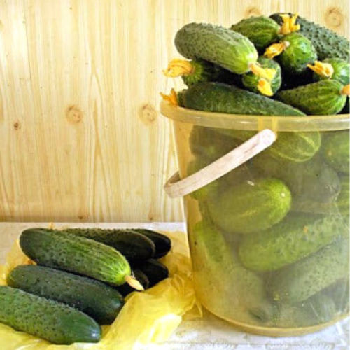 ведро огурчиков