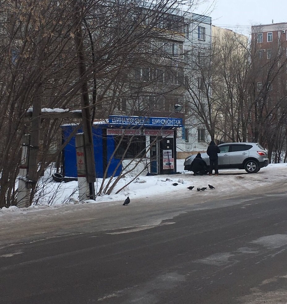 Фото для примера