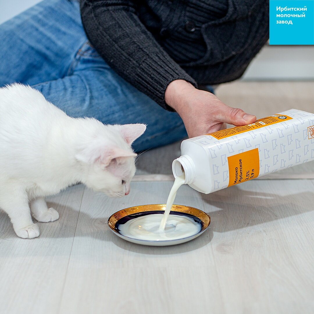 Фото: АО "Ирбитский молочный завод"