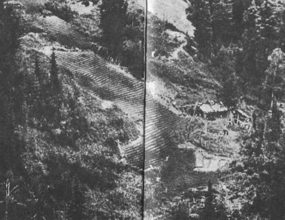 «Таежный тупик». Как в Советском Союзе семья четыре десятилетия прожила ...